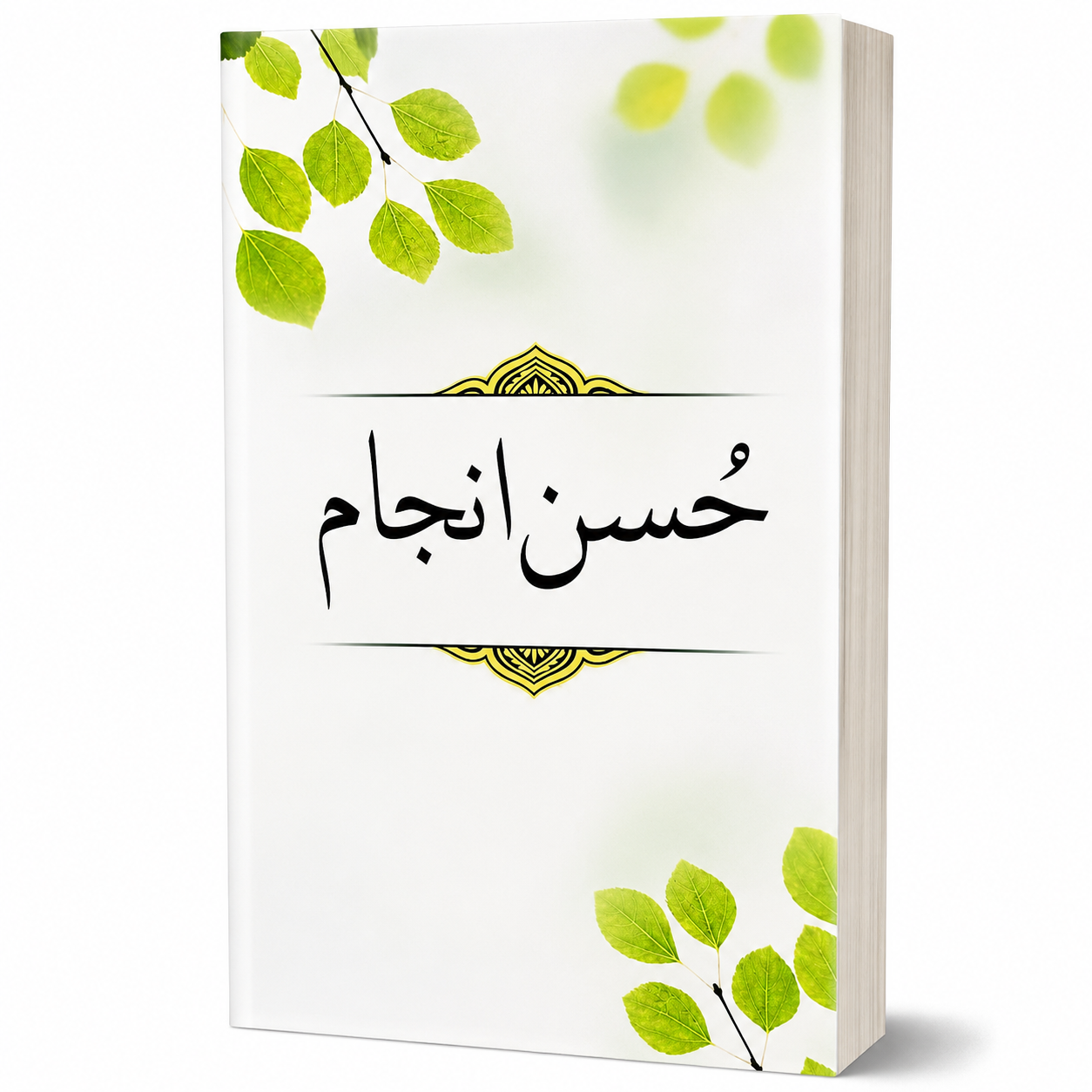 HUSN-E-ANJAM